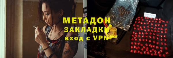 индика Белокуриха