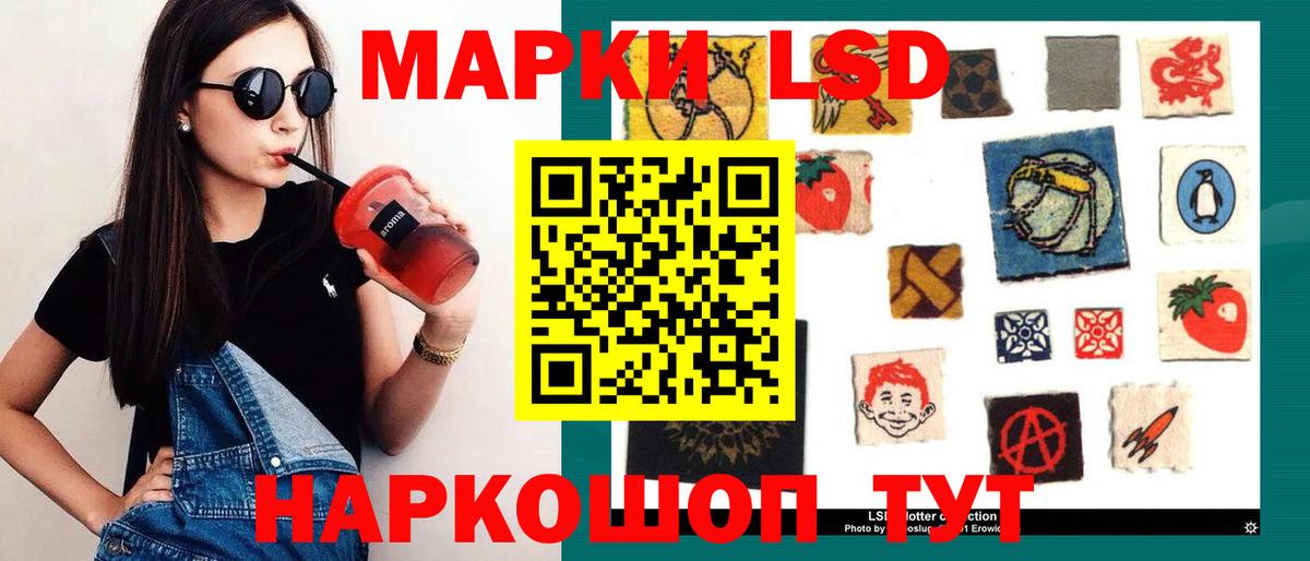 Псилоцибиновые грибы Корсаков