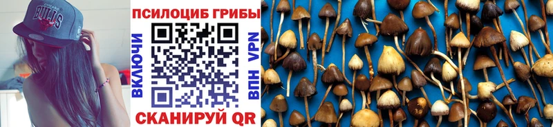 Галлюциногенные грибы Psilocybine cubensis Корсаков