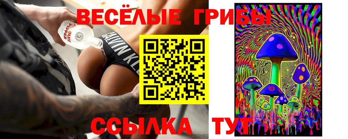 Псилоцибиновые грибы Cubensis Корсаков