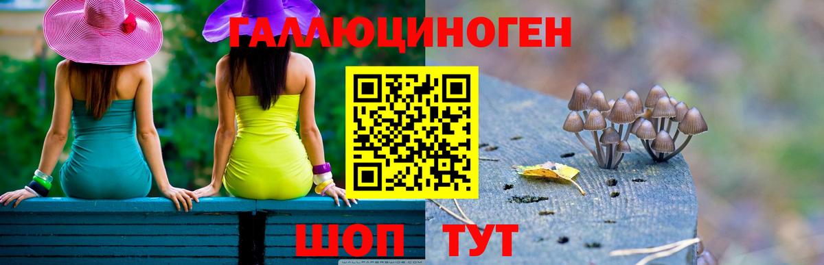 Корсаков  Псилоцибиновые грибы Psilocybine cubensis  Вход с VPN 